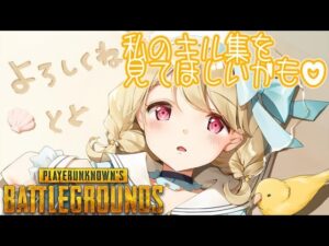 【PUBG】世界の鳥さんを守り隊 kill集【VTuber】