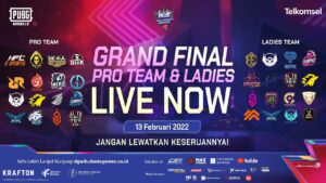 PUBG MOBILE - LADIES & PRO TEAM GRAND FINAL DAY | DGWIB CHAMPIONSHIP - LIVE NOW