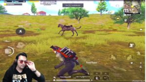 Horse in Pubg Mobile? PUBG MOBILE VS TIKTOK Unbelievable FUNNY MOMENTS 😈