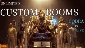PUBG MOBILE LIVE CUSTOM ROOMS PAKISTAN | COBRA GAMING