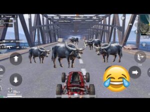 PUBG MOBILE FUNNY MOMENTS 🤣😝