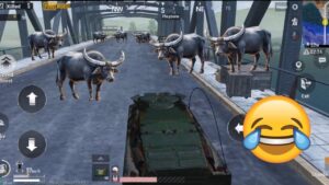 PUBG MOBILE FUNNY MOMENTS🤣😀