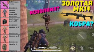 ЗОЛОТАЯ МК14 КОБРА?! В НОВОМ METRO ROYALE 2.0 / PUBG MOBILE / МЕТРО РОЯЛЬ