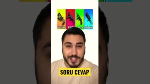 #pubgmobile #pubg #pubgm #gaming #oyun #pubglive #game #pubgmobilelive #twitch #pubggameplay