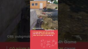 Méo hiểu kiểu gì #shorts #viva24h #pubg