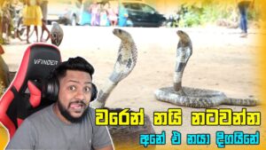 BORA EKKA PUBG MOBILE RUSH GAME PLAY