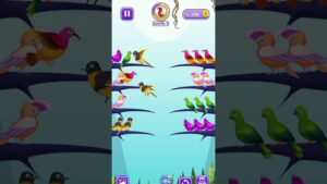 #birds #game #puzzle #shortvideo #pleasesubscribe #viralvideo #song #pubg #bgmi  prince video