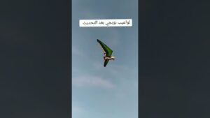 #pubgmobile #game #gaming #ببجي #pubg #freefire #shortpants #viral #victor