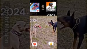 #freefire Vs #pubg ⚡|#shorts #garenafreefire #freefireshorts #funny #freefireattitudestatus #games